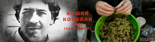 spice Арсеньев