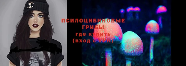 стаф Армянск