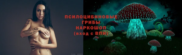 амф Аркадак