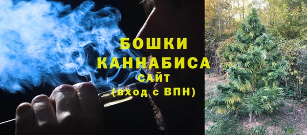 spice Арсеньев