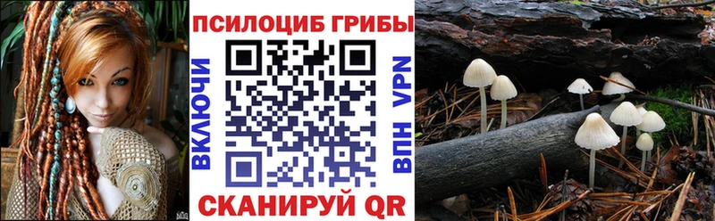 Псилоцибиновые грибы GOLDEN TEACHER  Юрьевец 